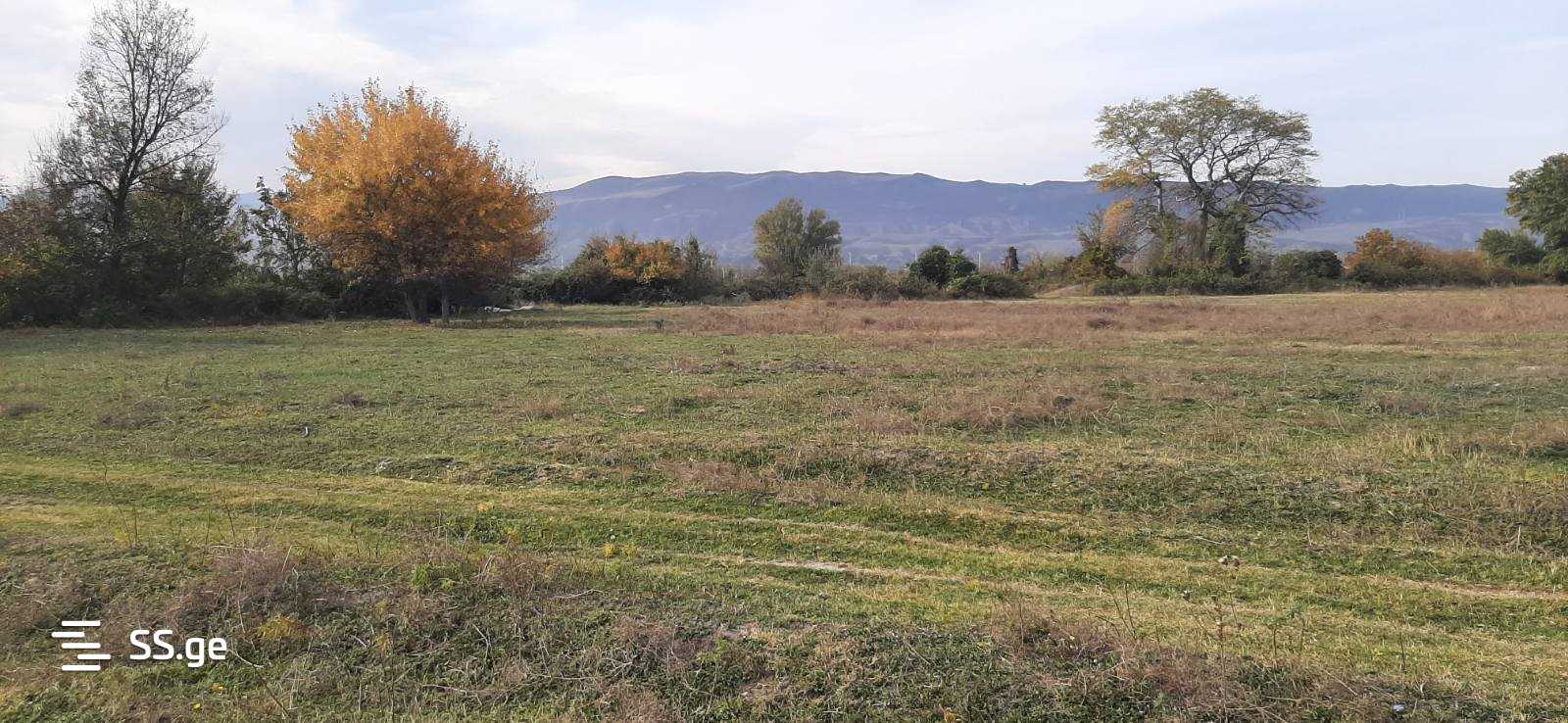 Land For Sale. view 6