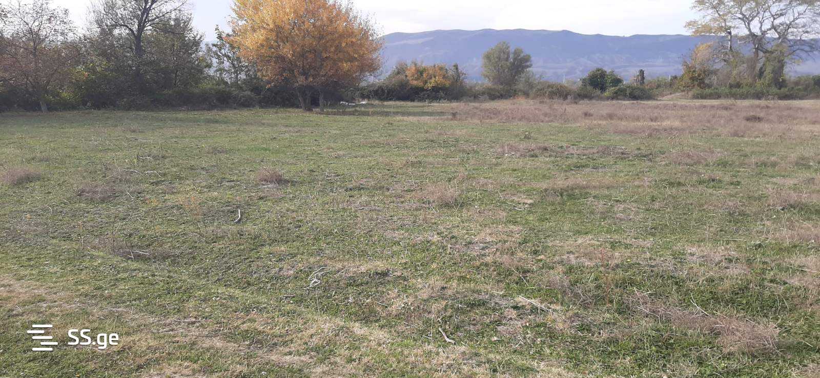 Land For Sale. view 7
