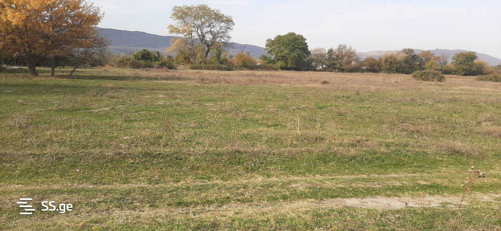 Land For Sale. view 3