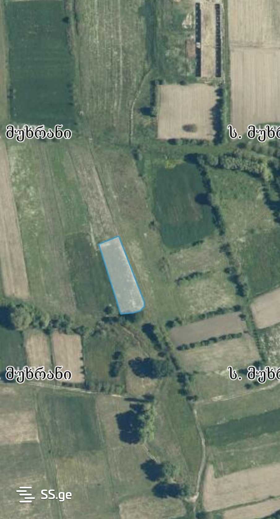 Land For Sale. view 1
