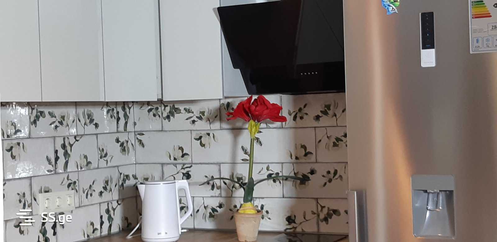 2 Room Flat For Rent. Bakuriani view 8