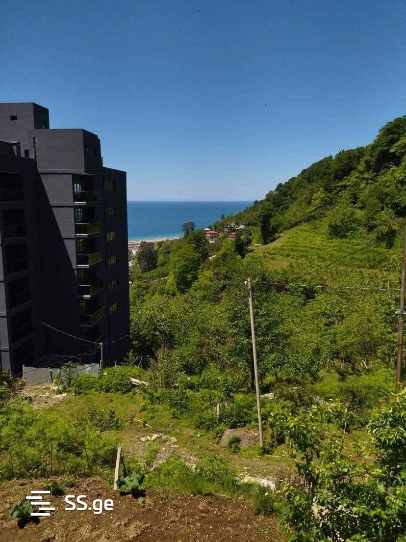 Land For Sale. view 2