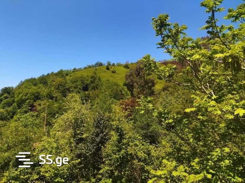 Land For Sale. view 4