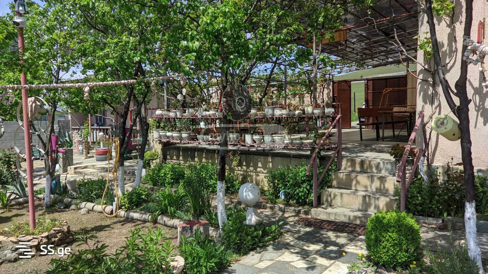 2 Room Summer Cottage Daily Rent. Varketili view 2