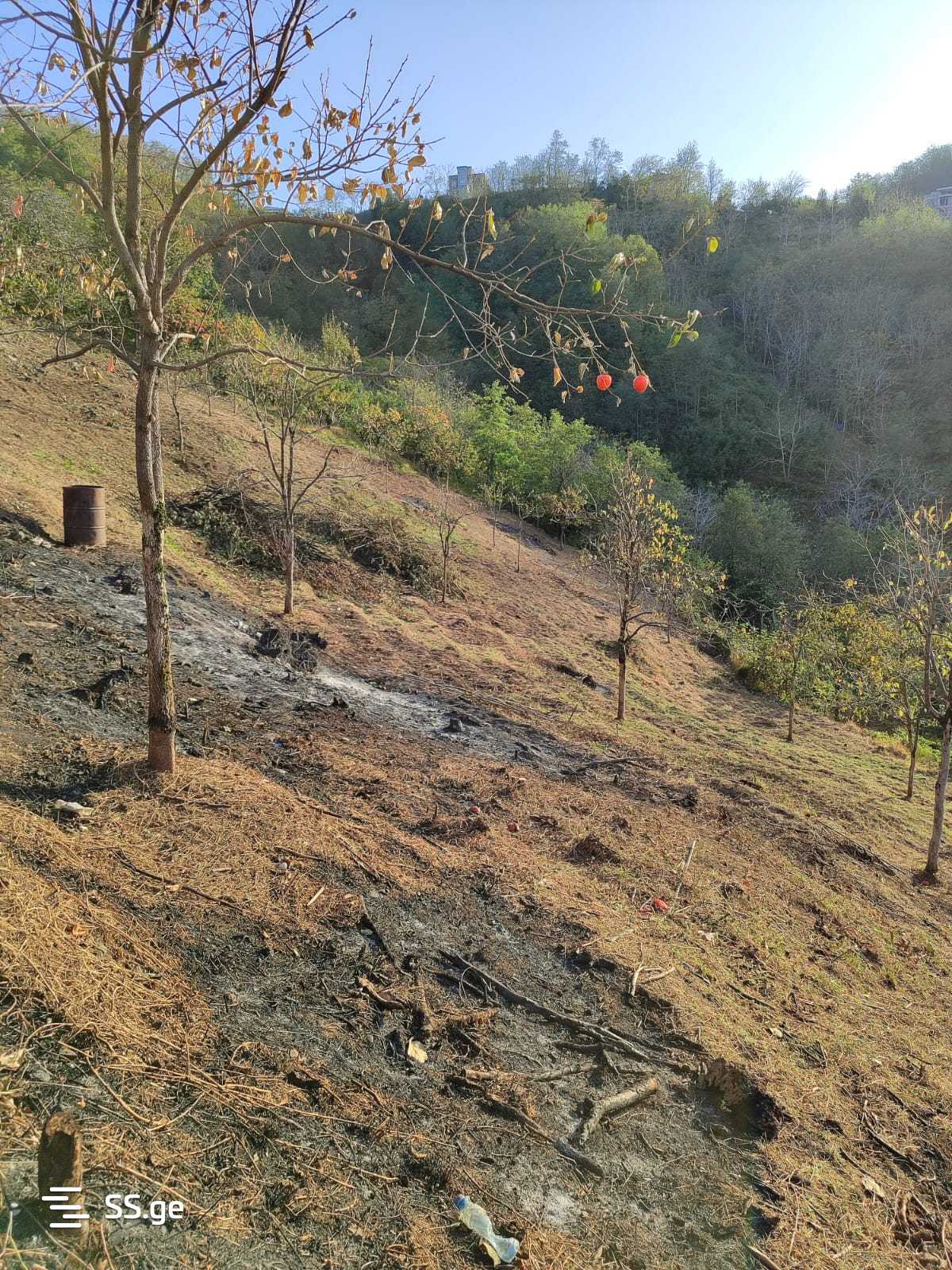 Land For Sale. Batumi view 6