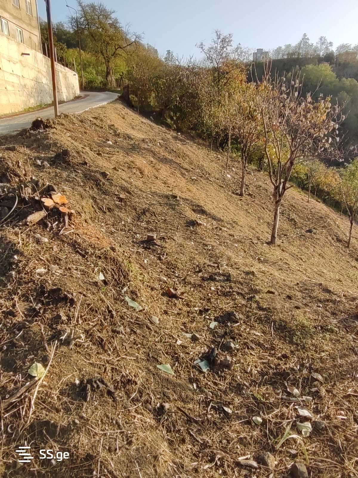 Land For Sale. Batumi view 2