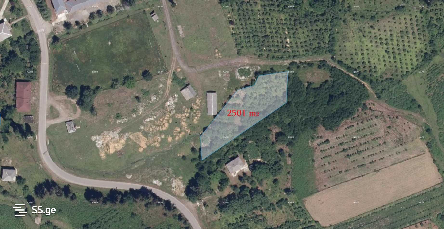 For Sale Sasoplo-Sameurneo Land Plot Ozurgetis Munitsipalitetshi view 9
