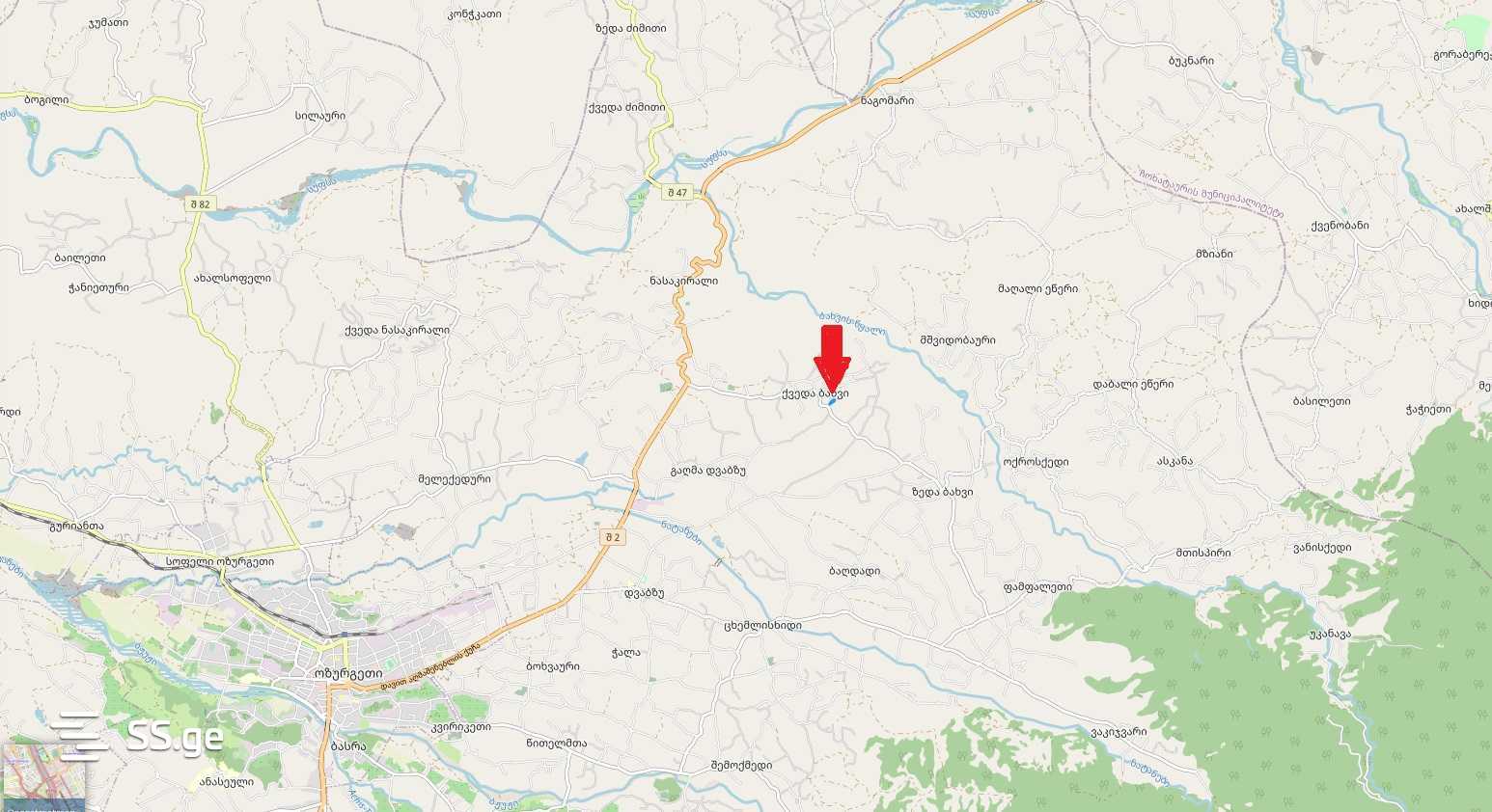 For Sale Sasoplo-Sameurneo Land Plot Ozurgetis Munitsipalitetshi view 10