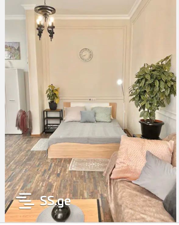 1 room Flat Daily rent. Mtatsminda - Bild 5