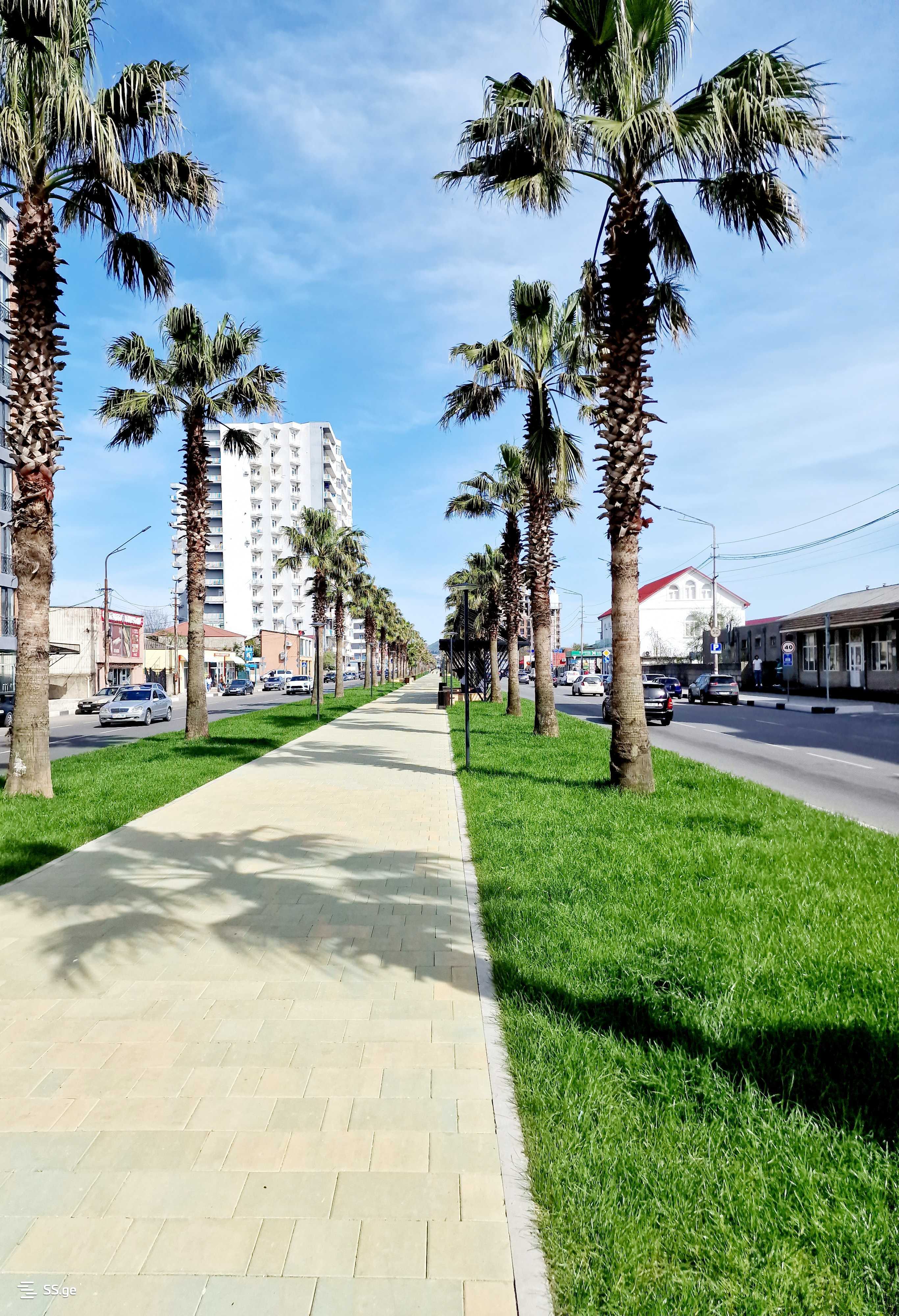 3 Room Flat For Rent. Kutaisi view 12