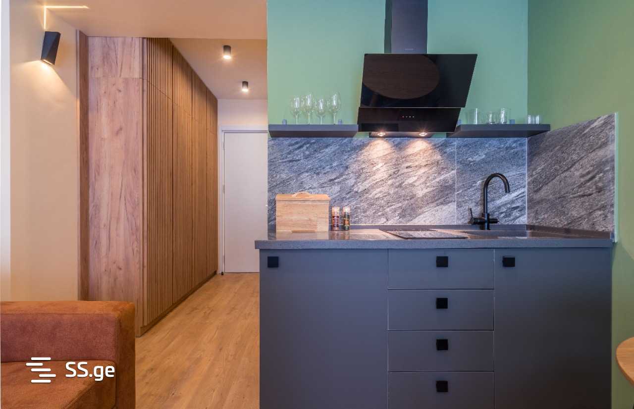 1 Room Flat Daily Rent. Gudauri view 11