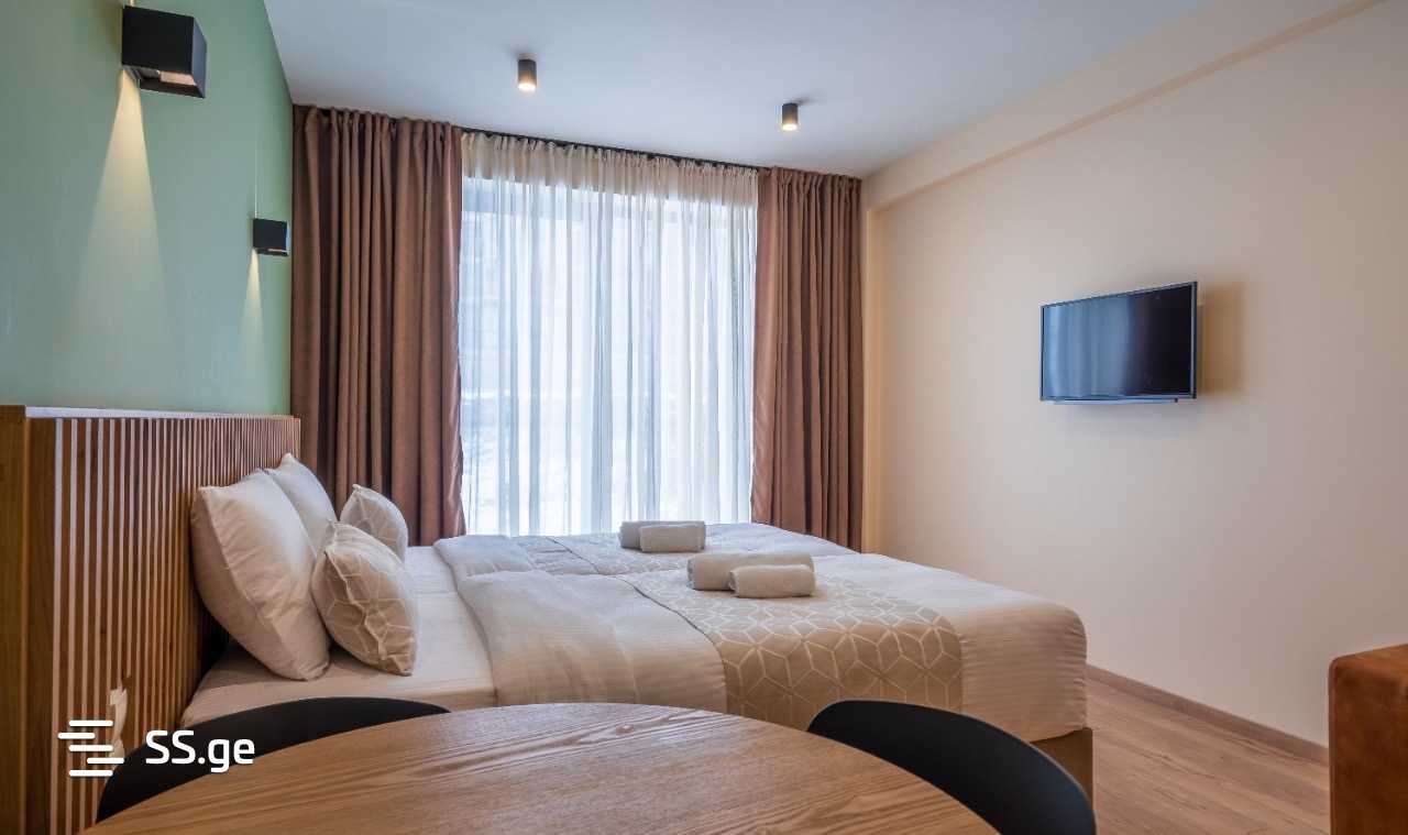 1 Room Flat Daily Rent. Gudauri view 5