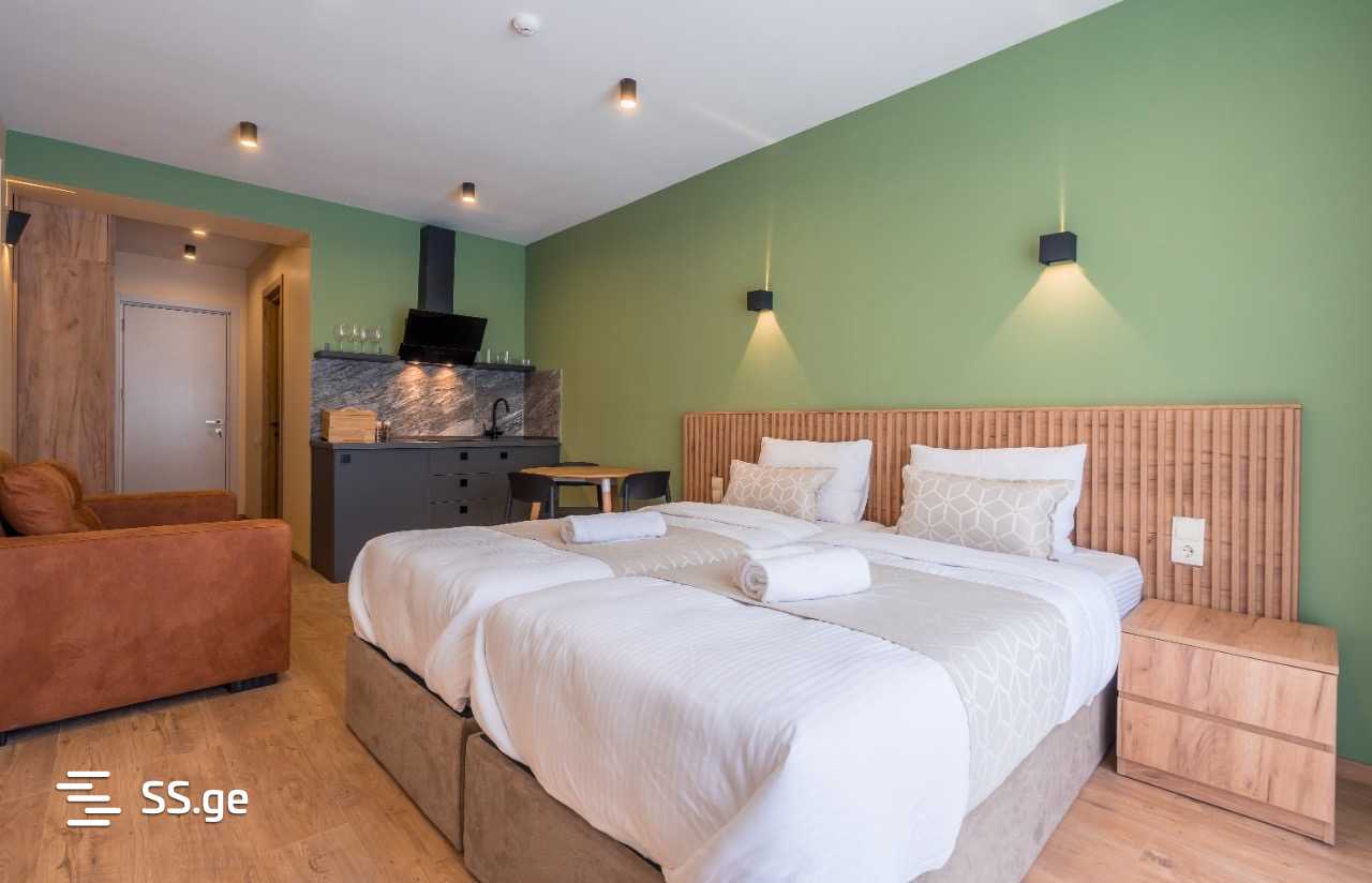 1 Room Flat Daily Rent. Gudauri view 7