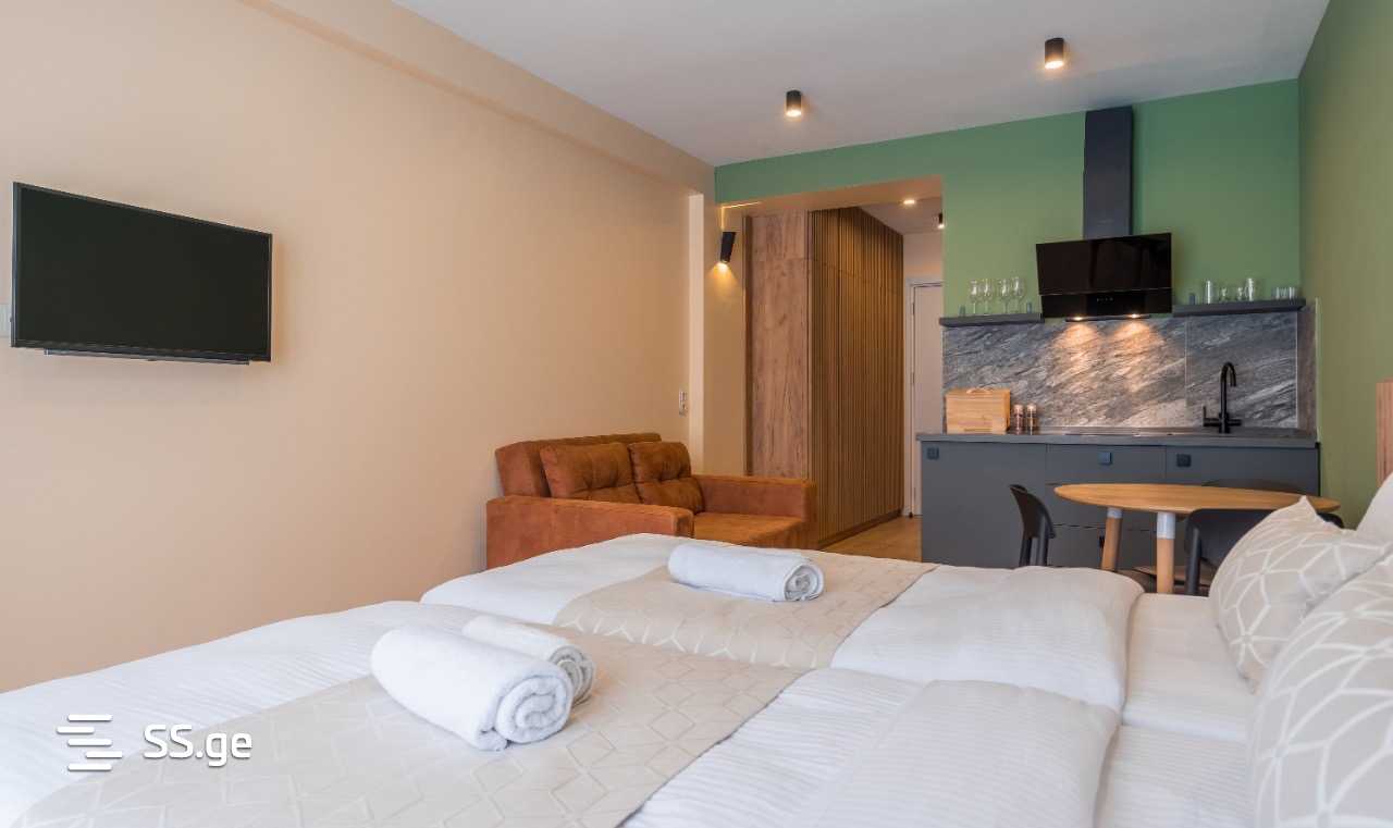 1 Room Flat Daily Rent. Gudauri view 4