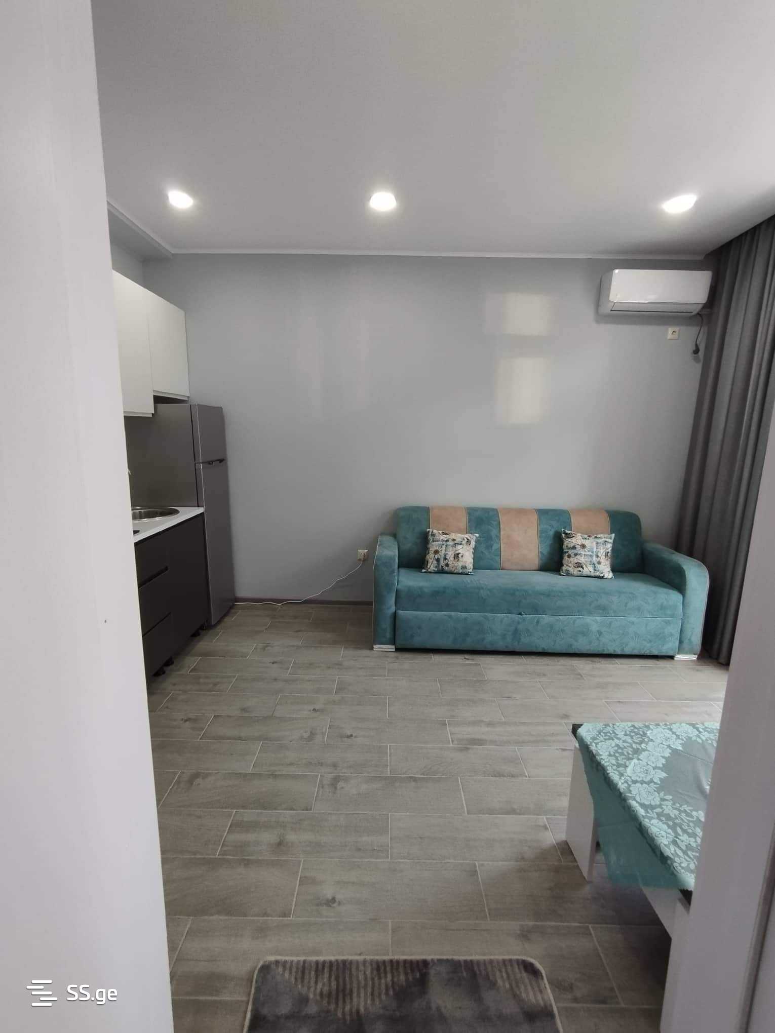 2 Room Flat Daily Rent. Kobuleti view 8