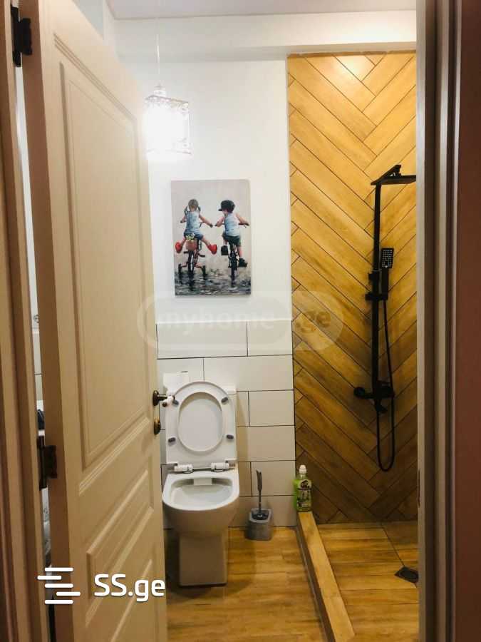2 Room Flat For Rent. Chugureti view 2