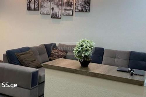 https://static.ss.ge/20231207/16_30aa531d-0bcf-4f0d-850f-66d84f05fd69_Thumb.jpg