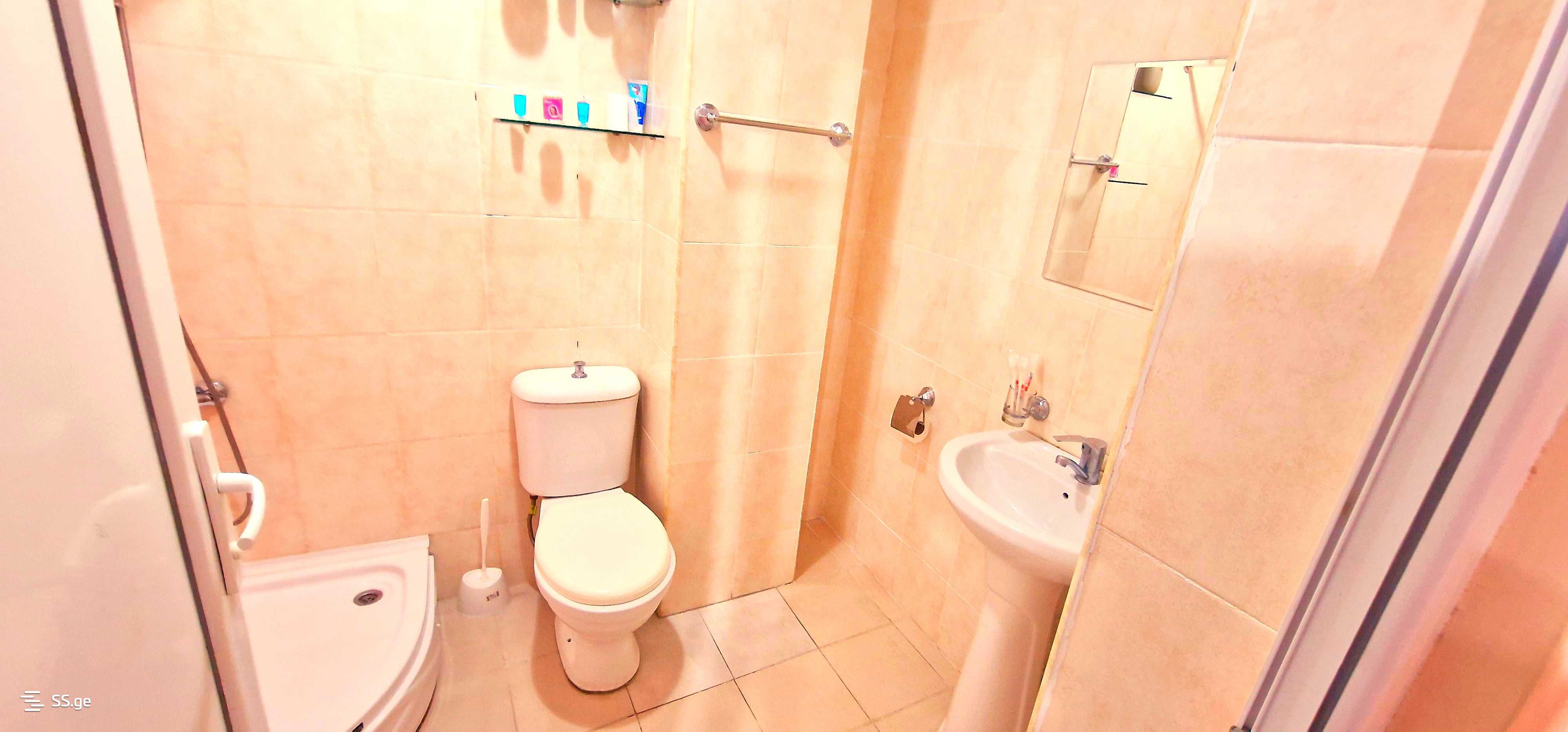 3 Room Flat For Rent. Kutaisi view 9