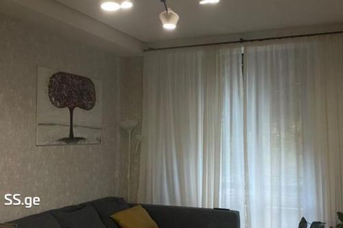 https://static.ss.ge/20231209/12_20765934-f5e9-43bc-b62c-83c7c3e7c6f9_Thumb.jpg