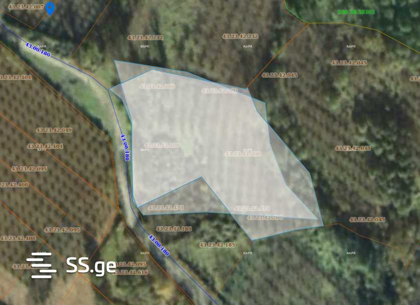 For Sale Sasoplo-Sameurneo Land Plot Zugdidis Munitsipalitetshi view 22