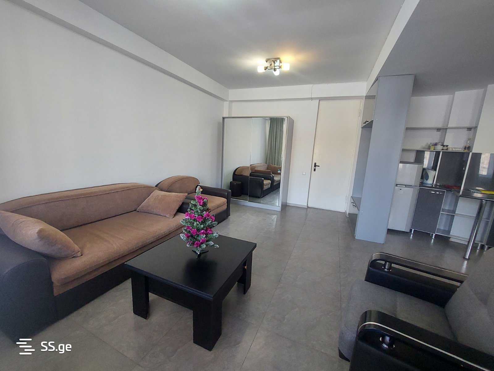 2 Room Flat For Rent. Gudauri view 6