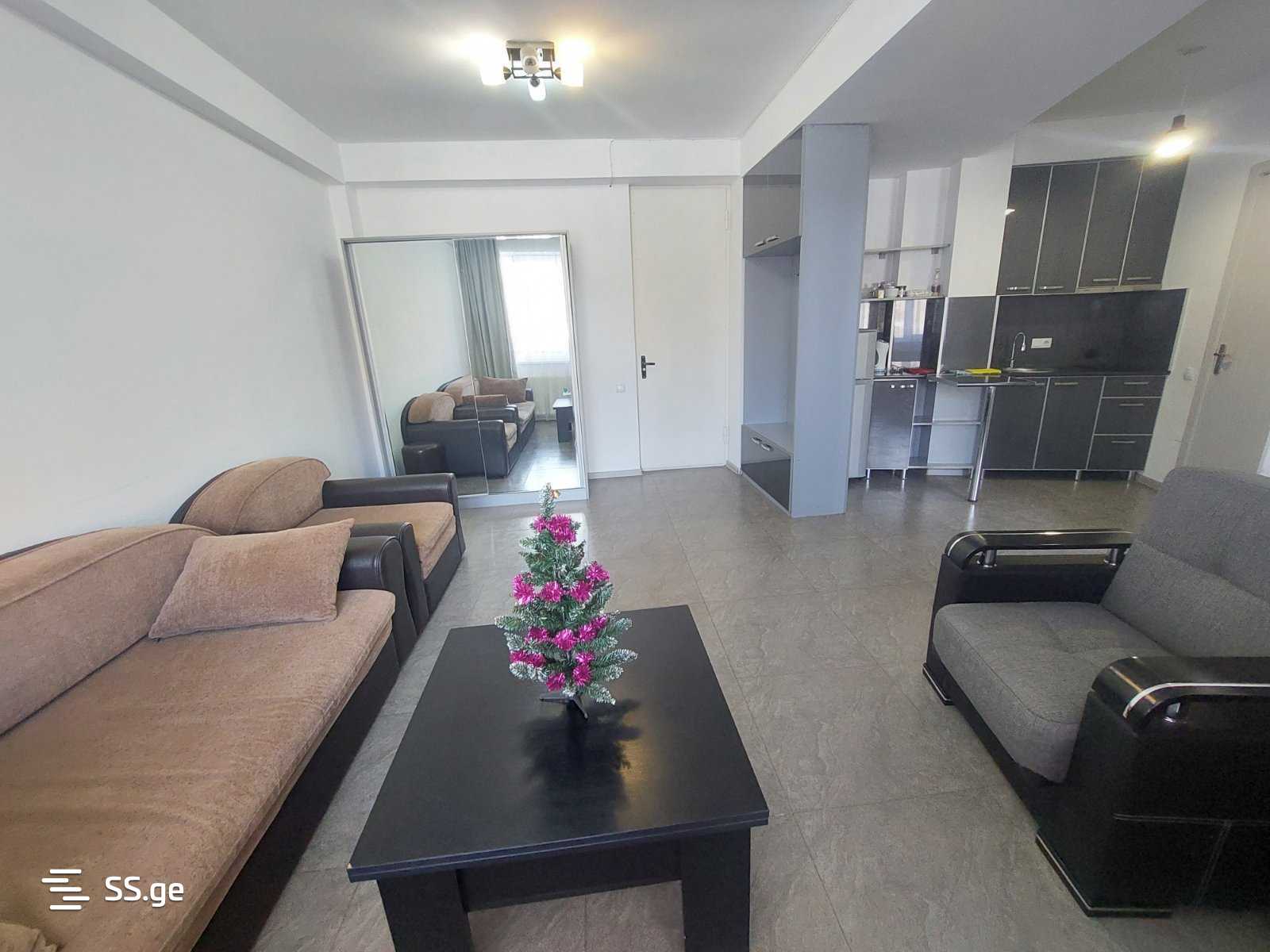 2 Room Flat For Rent. Gudauri view 4