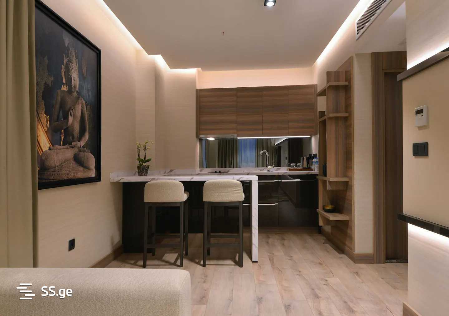 2 Room Flat Daily Rent. Isani view 3