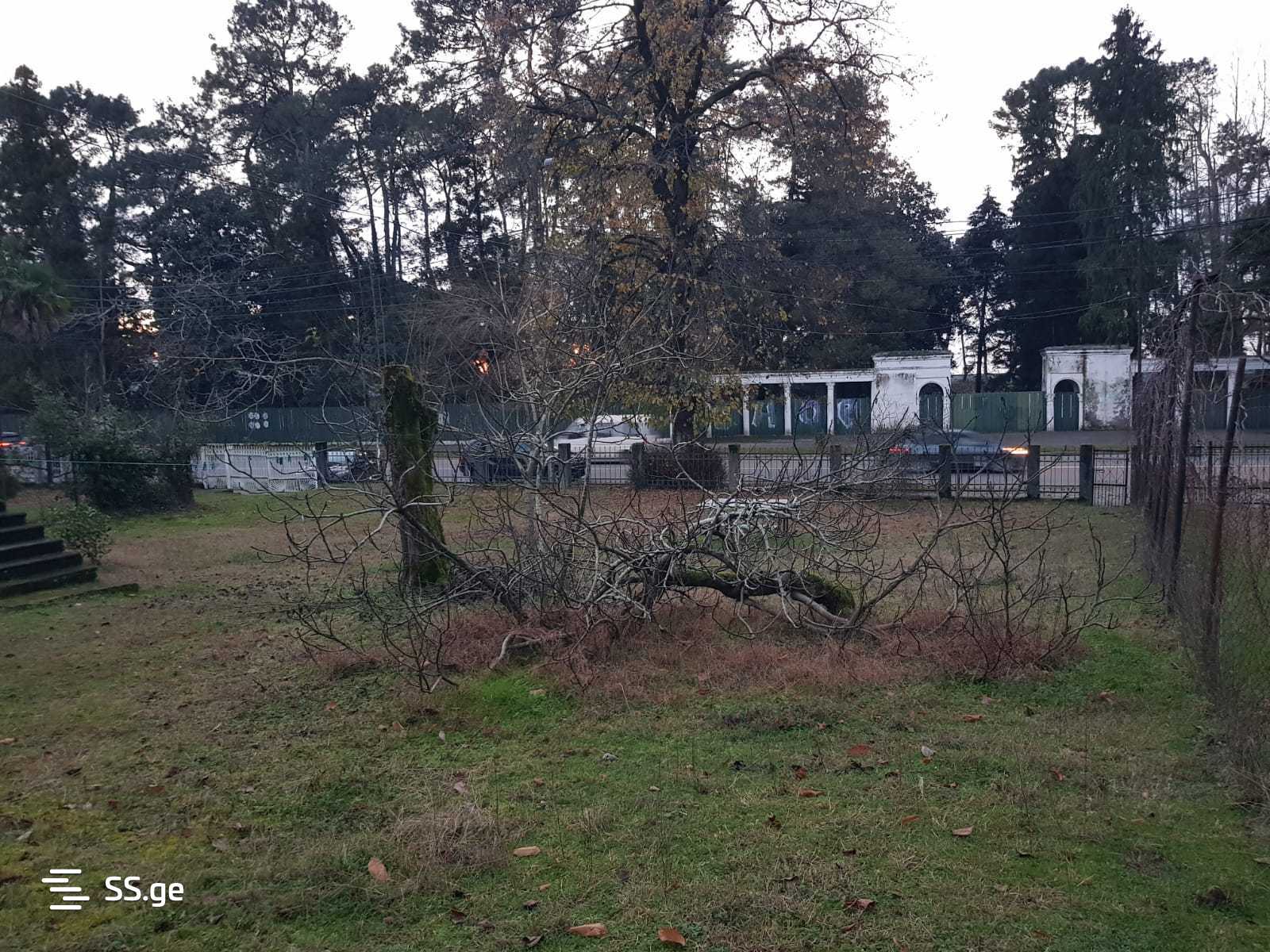 Land For Sale. Kobuleti, 3 of 4