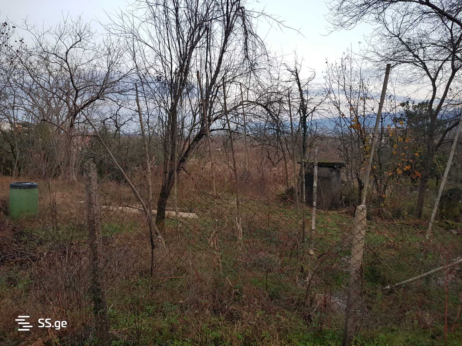 Land For Sale. Kobuleti view 12