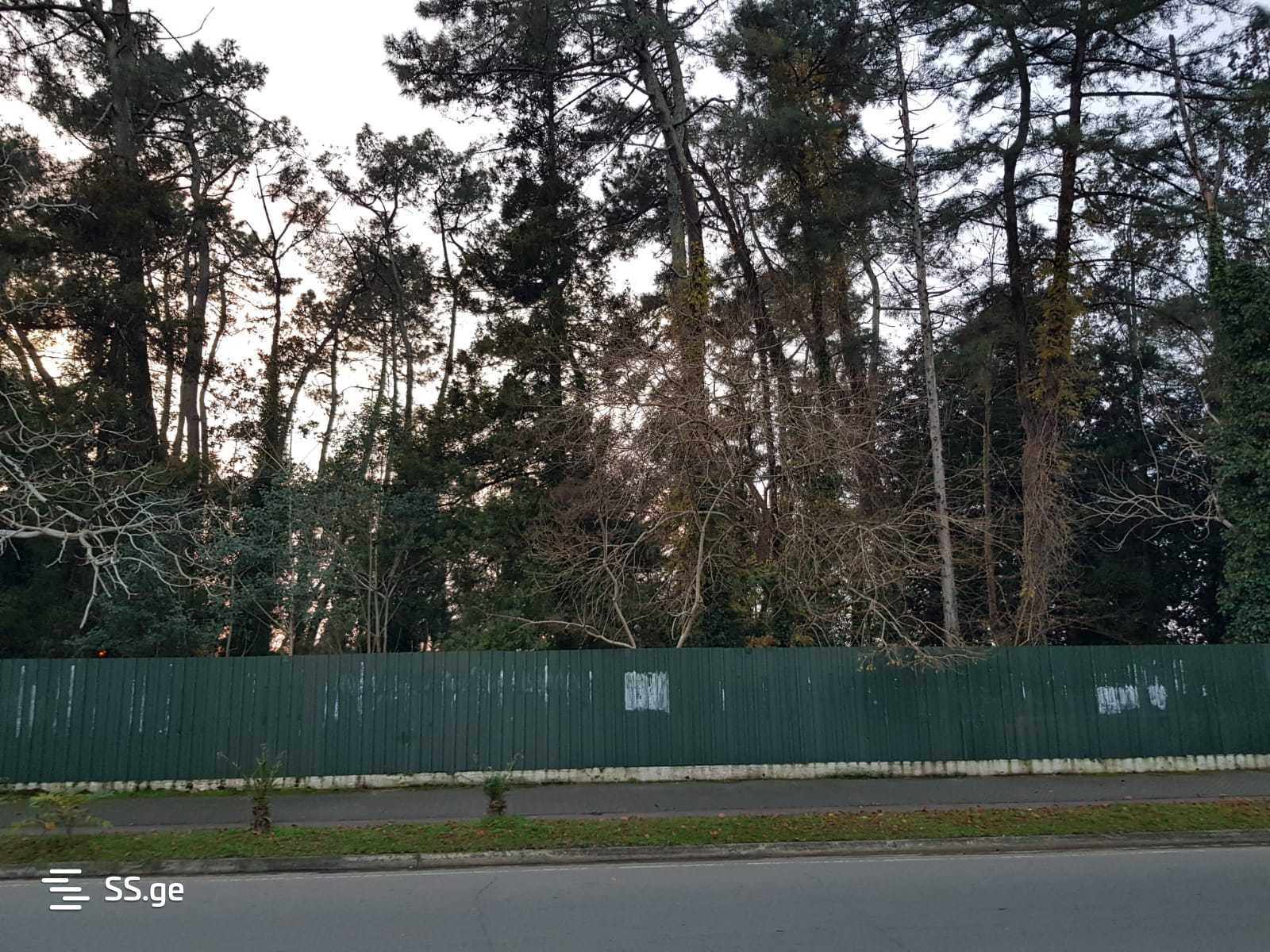 Land For Sale. Kobuleti, 4 of 4