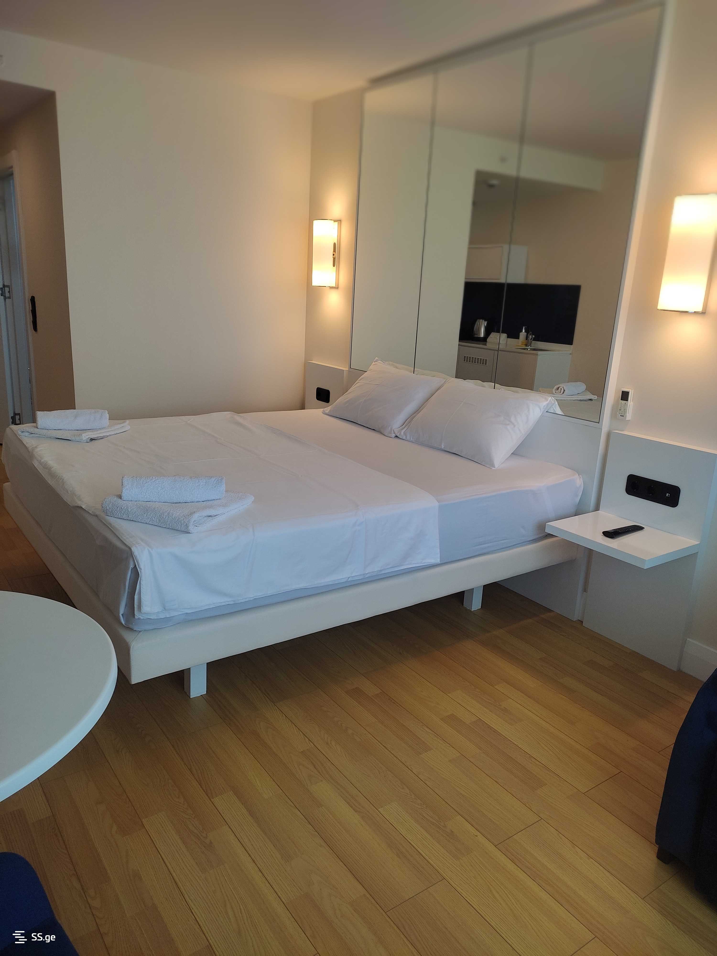 1 Room Flat Daily Rent. Batumi view 9