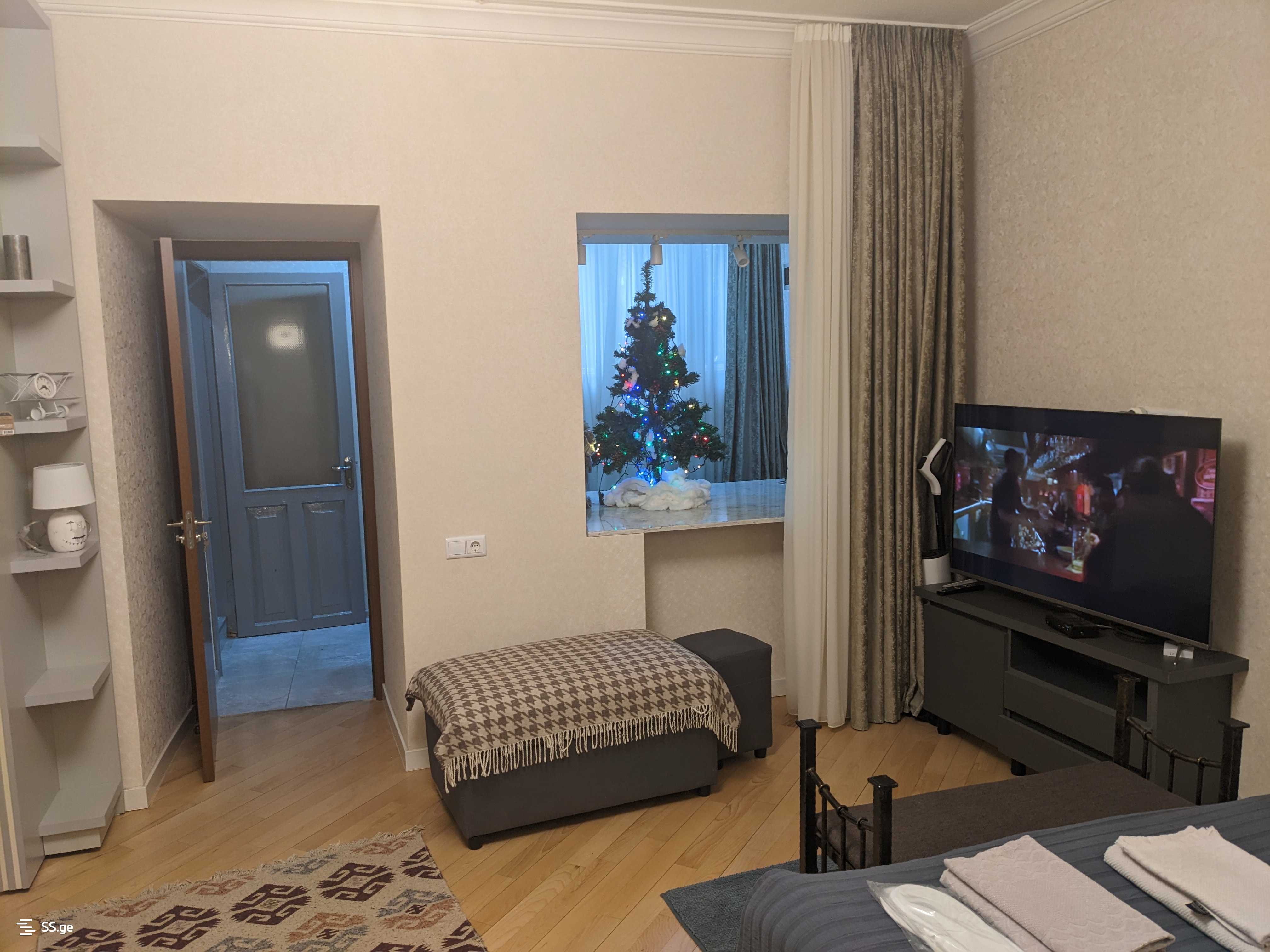 1 Room Flat Daily Rent. Sololaki view 5