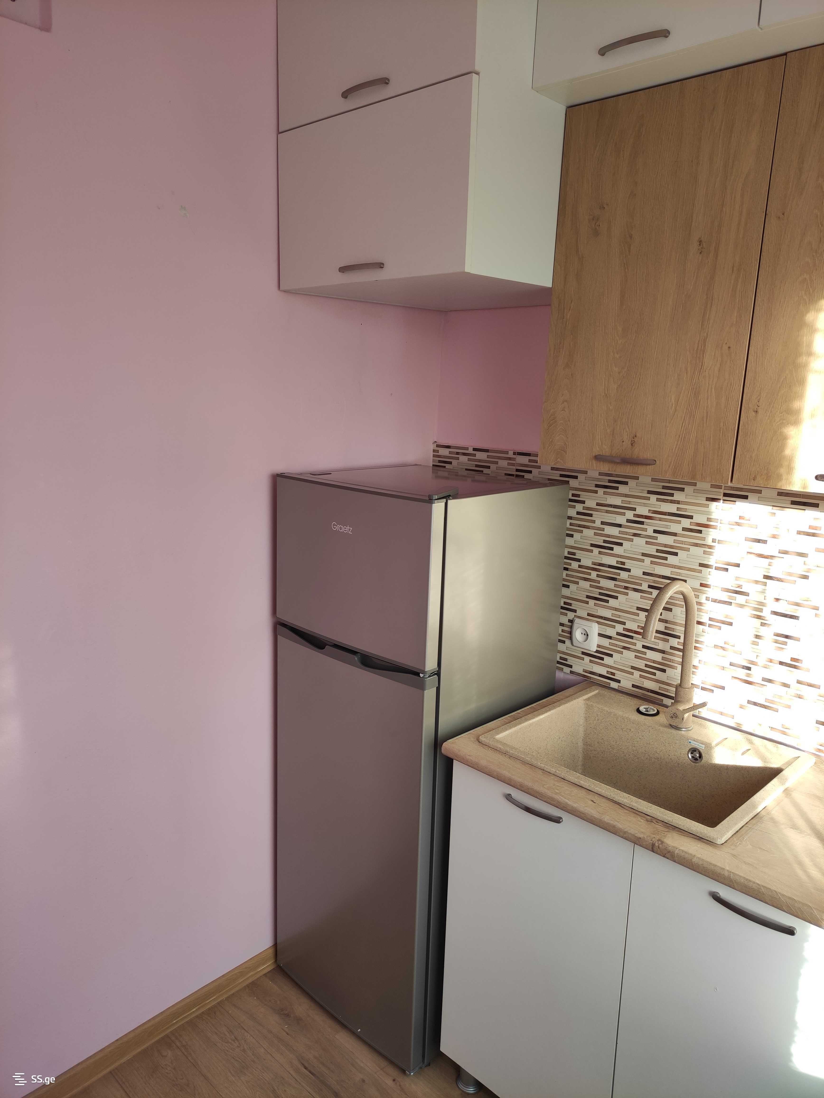 1 Room Flat For Rent. Kutaisi view 9