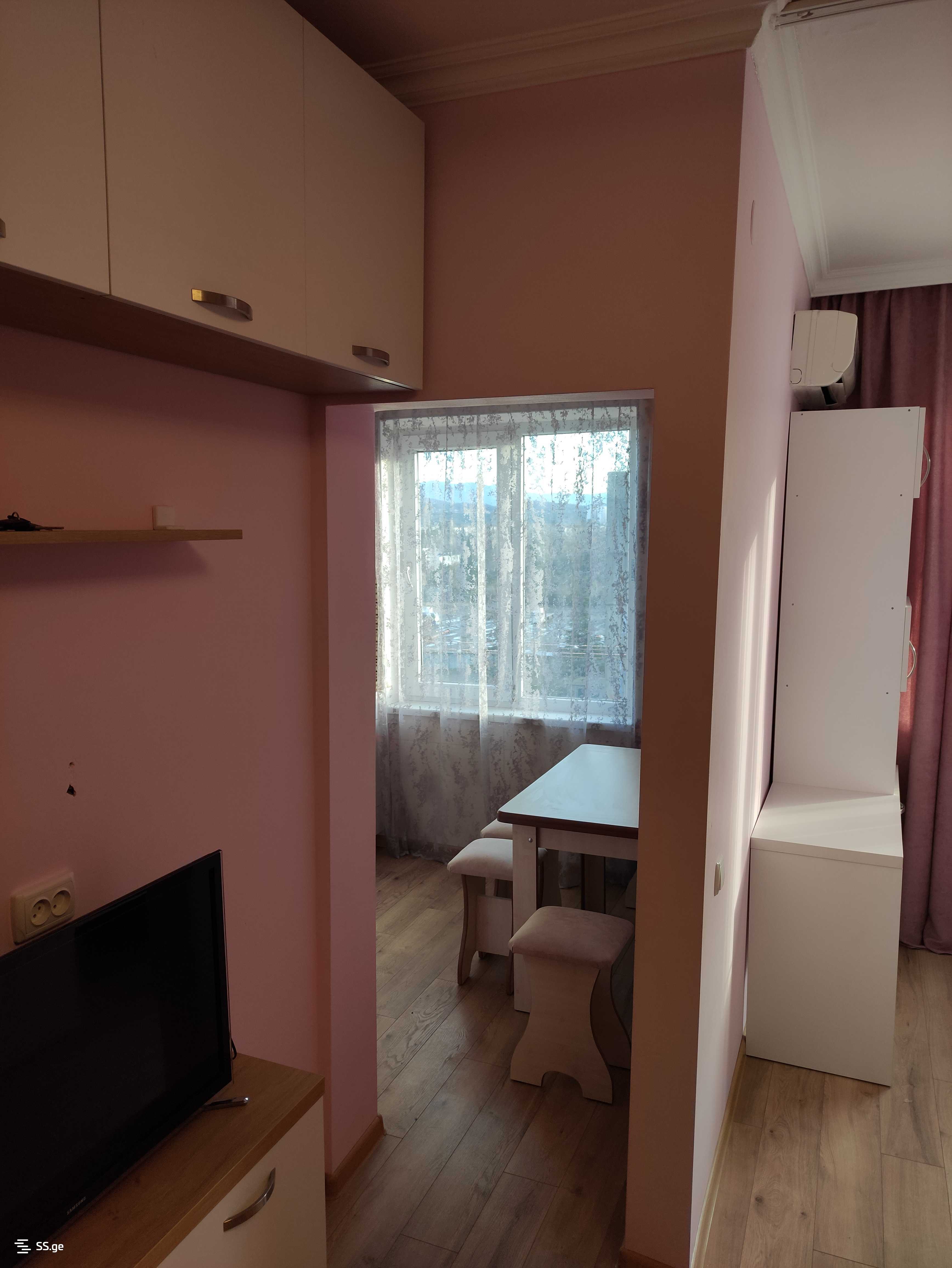 1 Room Flat For Rent. Kutaisi view 4