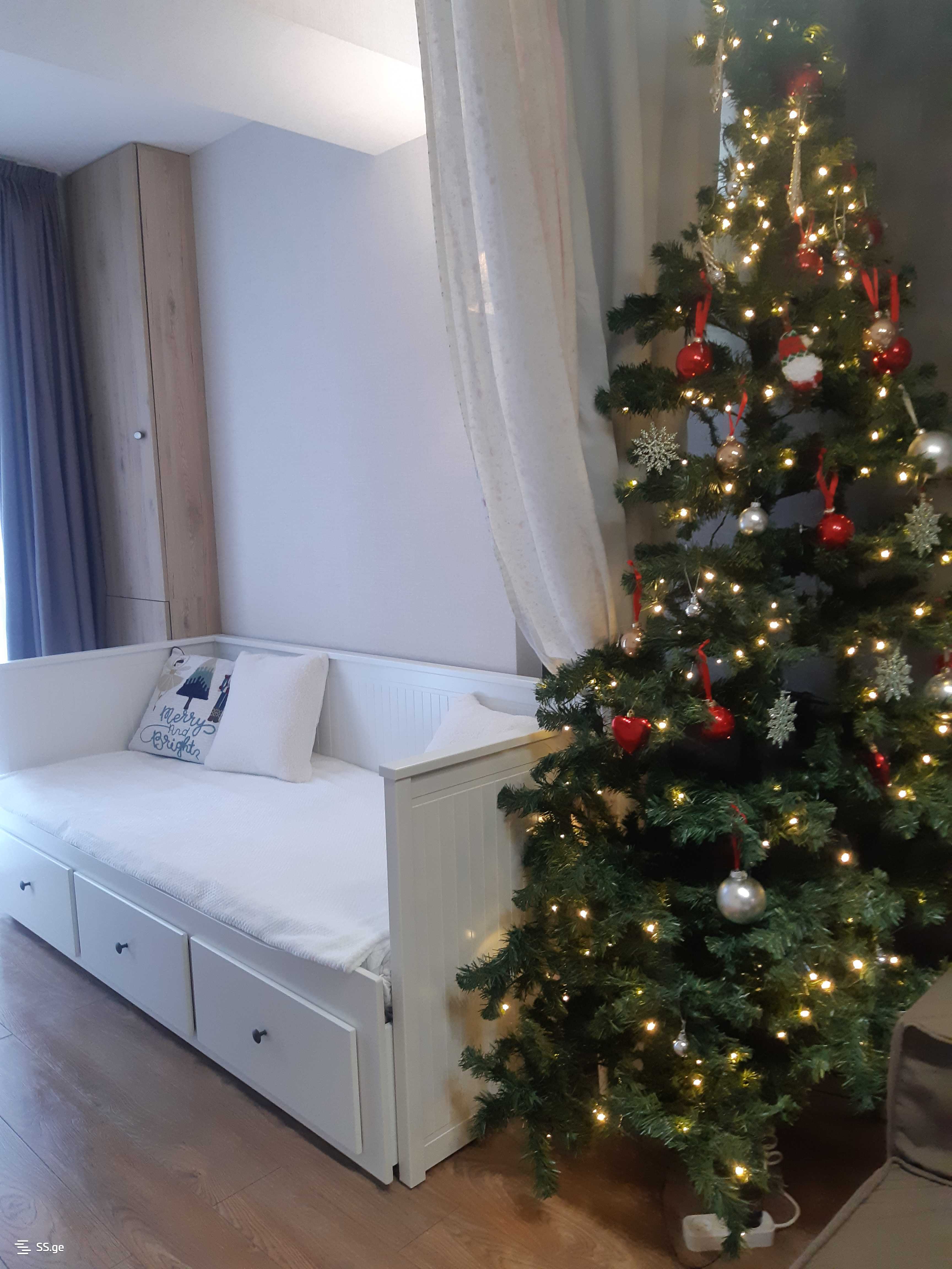 2 Room Flat For Rent. Bakuriani view 2