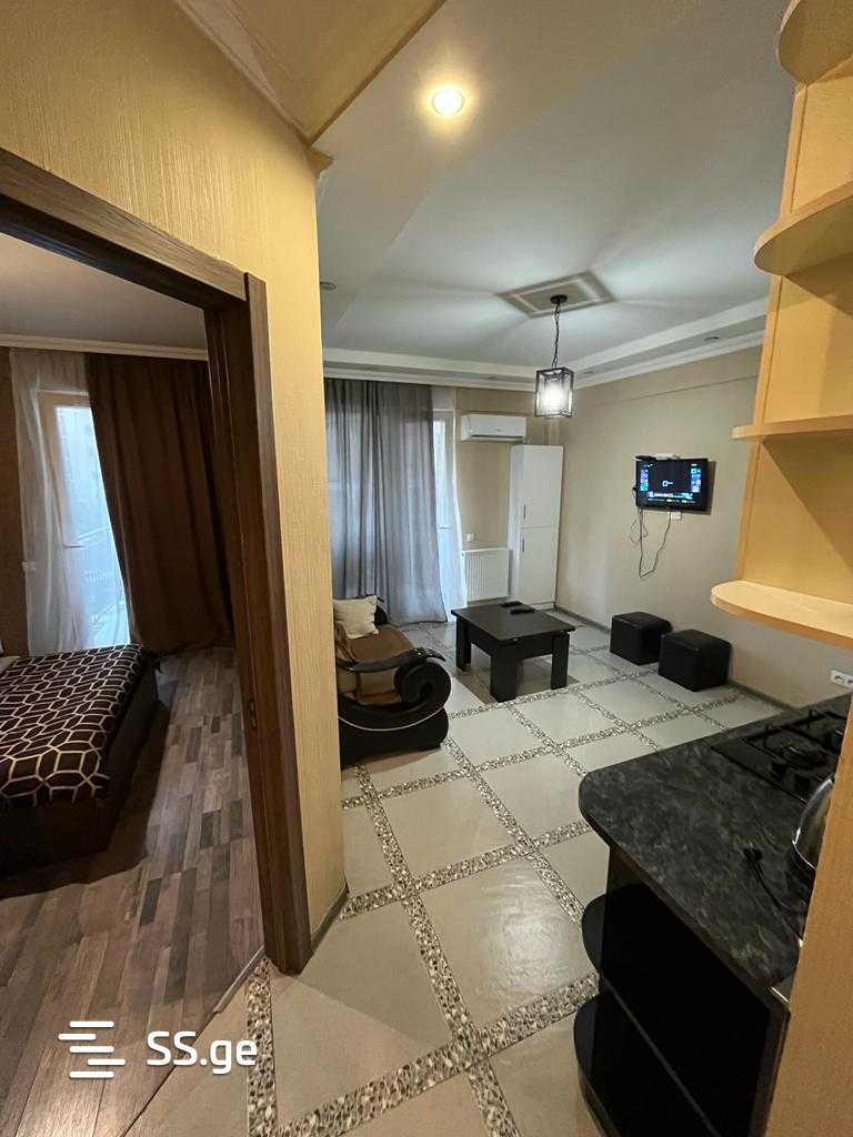 2 Room Flat Daily Rent. Didube view 1