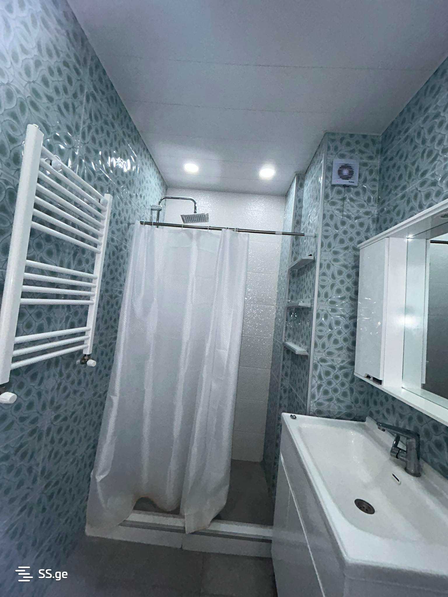 1 Room Flat Daily Rent. Rustavi view 2
