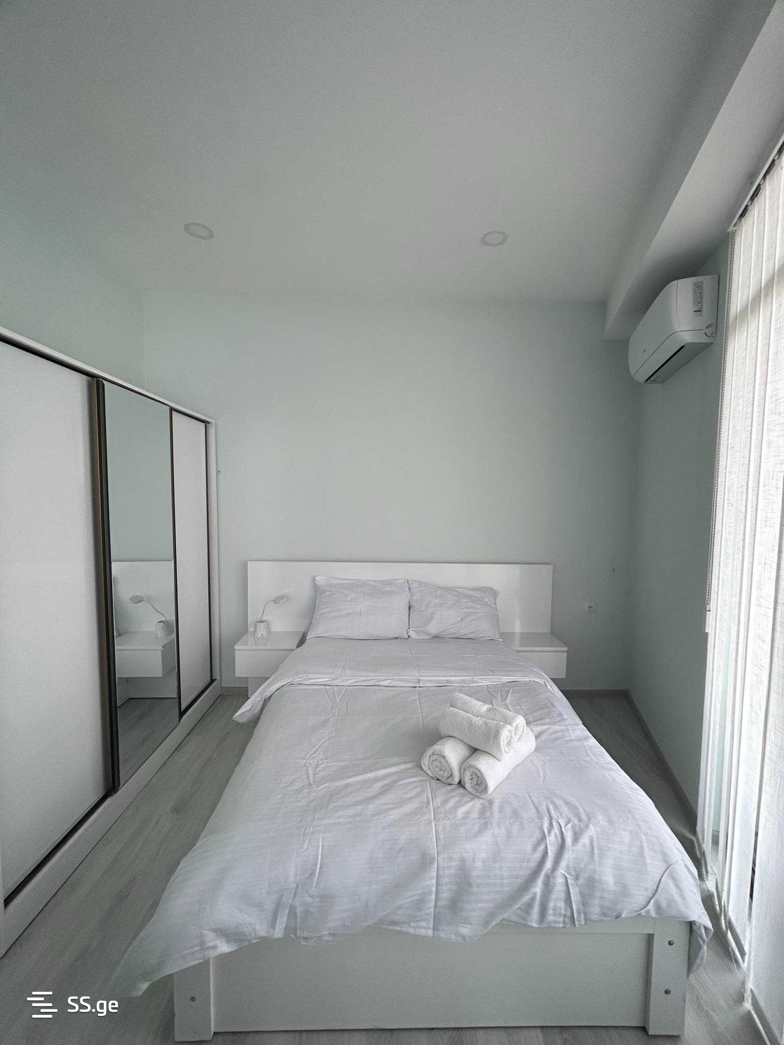 1 Room Flat Daily Rent. Rustavi view 1