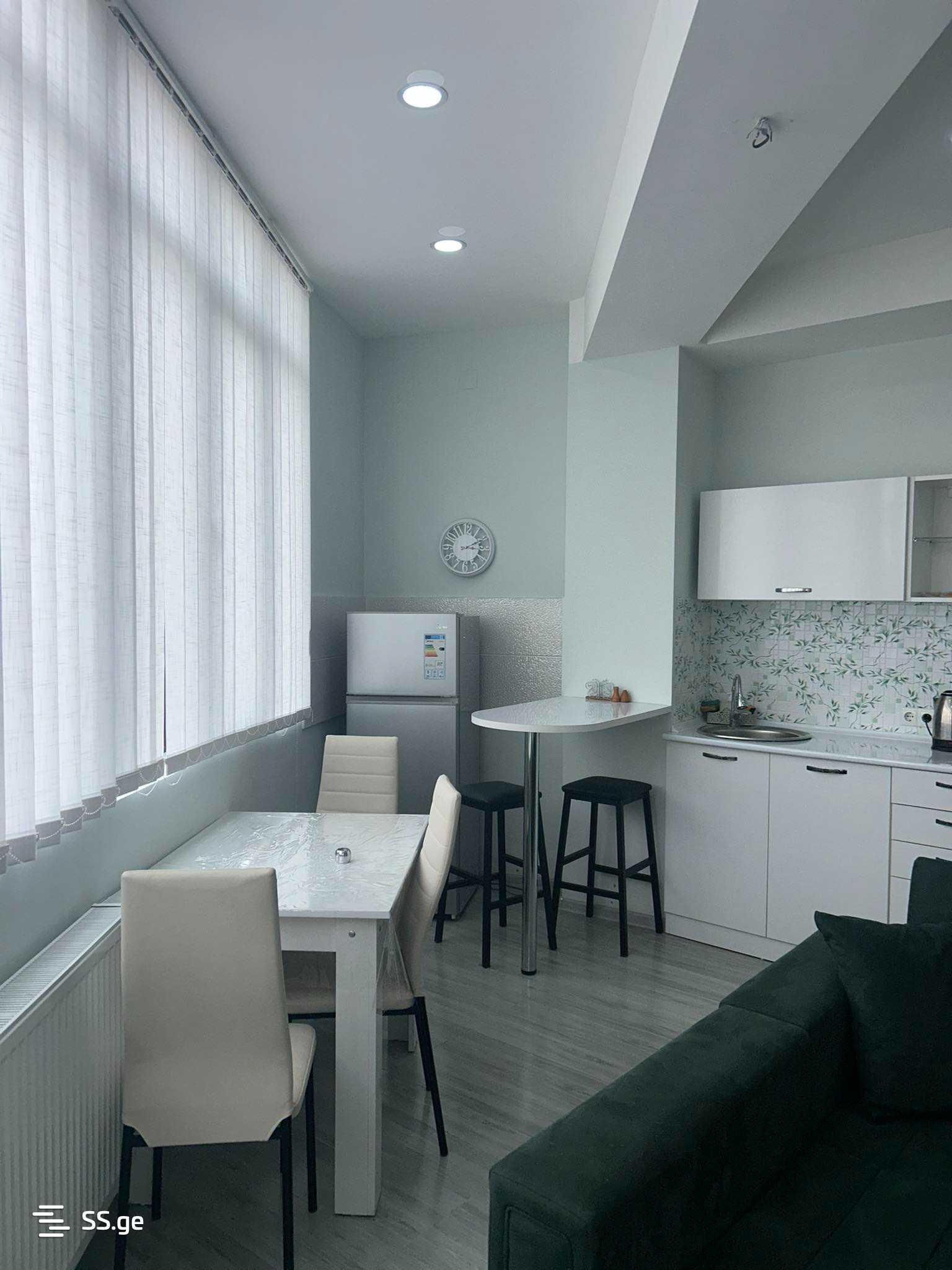 1 Room Flat Daily Rent. Rustavi view 3