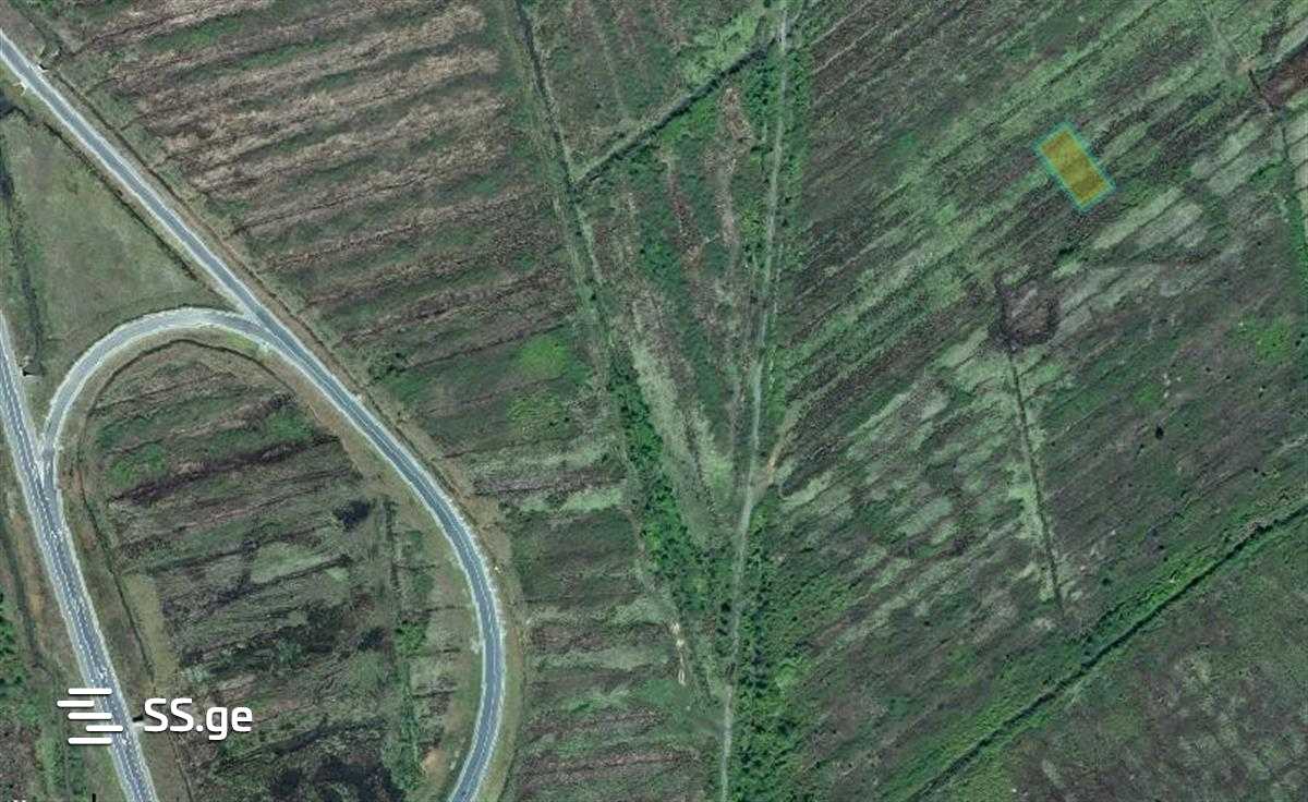 Land For Sale. Shekvetili view 2
