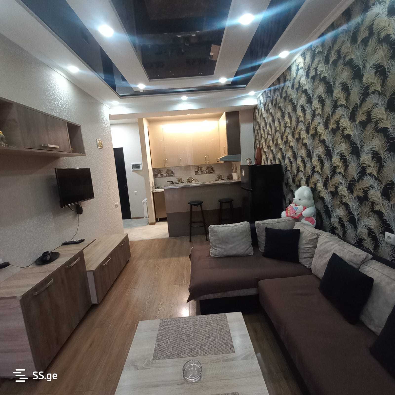 2 Room Flat Daily Rent. Gldani view 6