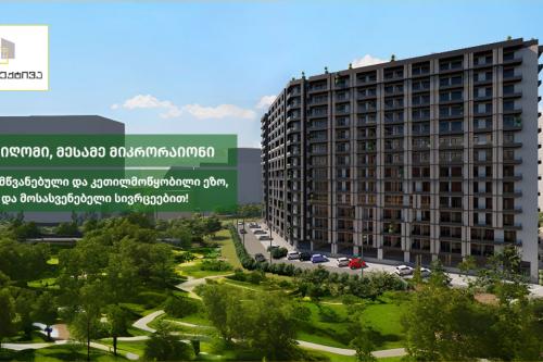 https://static.ss.ge/20240116/14_cba5b014-3c55-418f-ba4c-efdbf8629996_Thumb.jpg