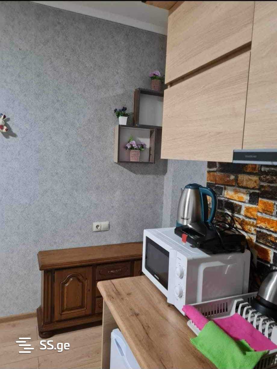 1 Room Flat For Sale view 3