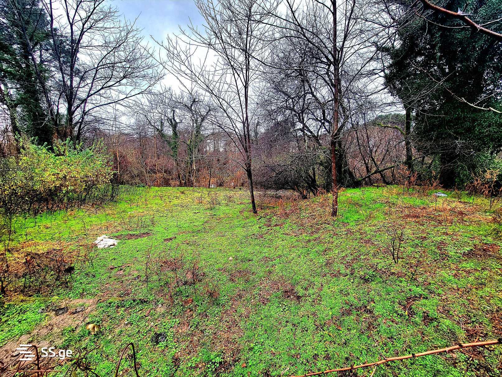 For Sale Sasoplo-Sameurneo Land Plot Ozurgetis Munitsipalitetshi view 18
