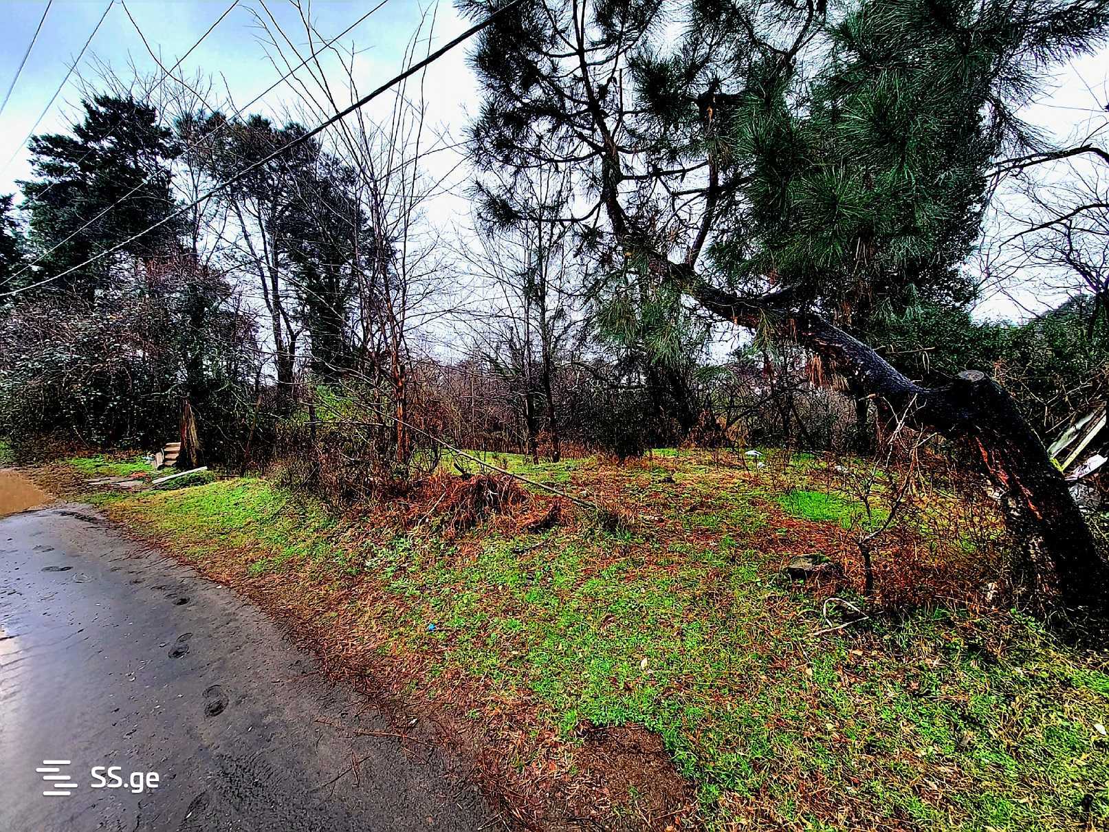For Sale Sasoplo-Sameurneo Land Plot Ozurgetis Munitsipalitetshi view 17