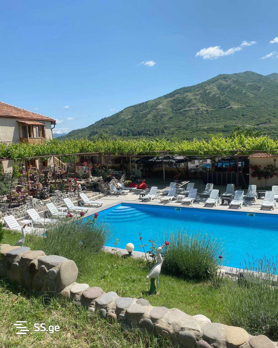9 Room Hotel For Sale view 10