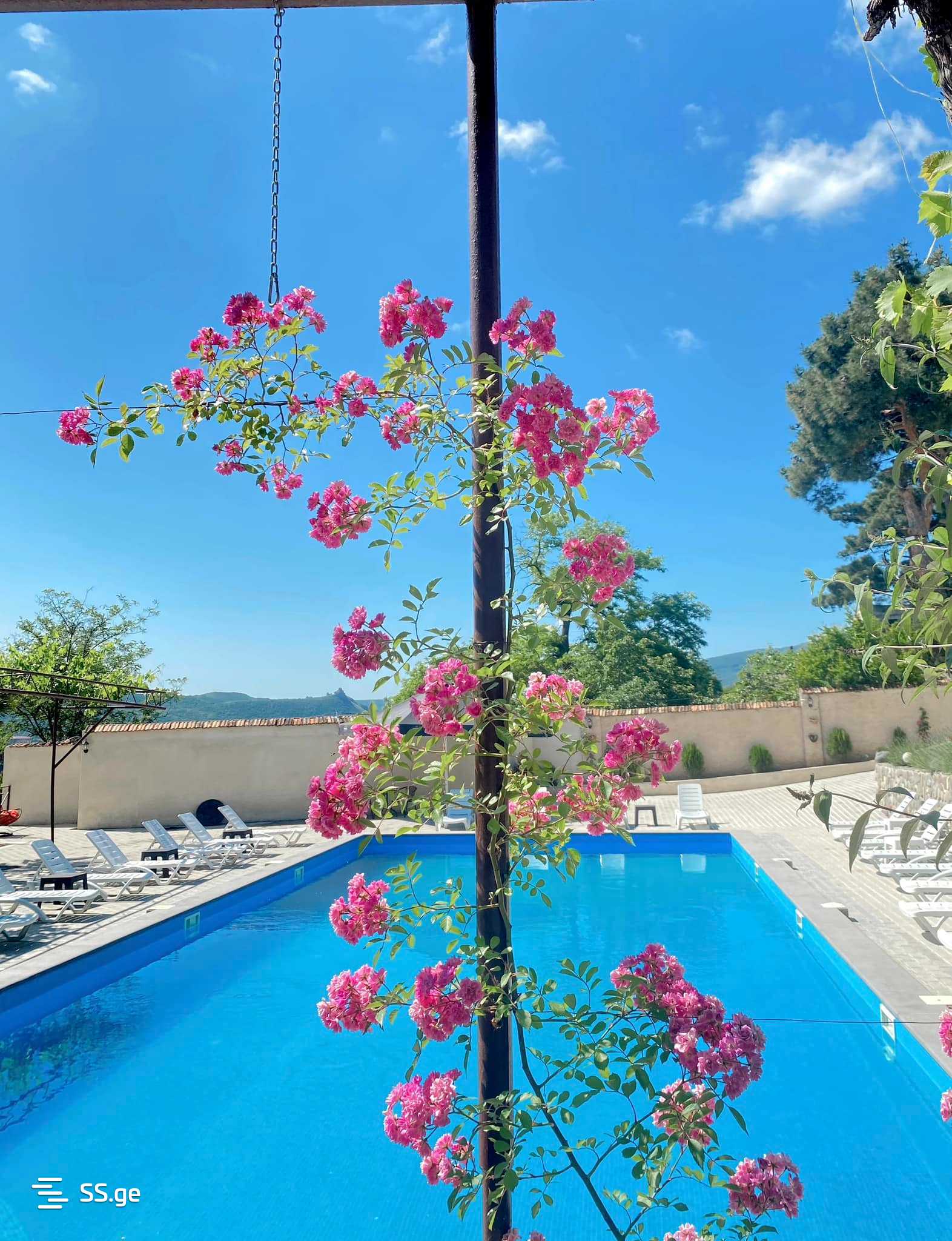 9 Room Hotel For Sale view 11