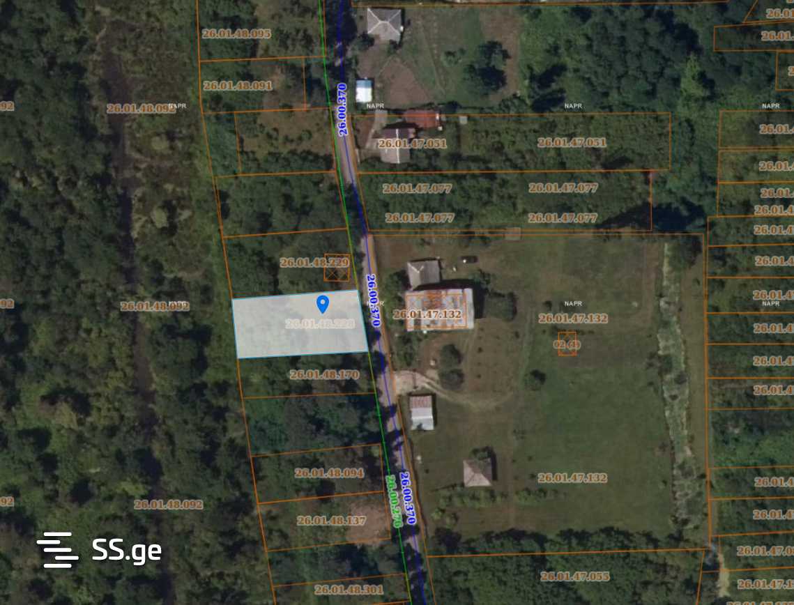 For Sale Sasoplo-Sameurneo Land Plot Ozurgetis Munitsipalitetshi view 21