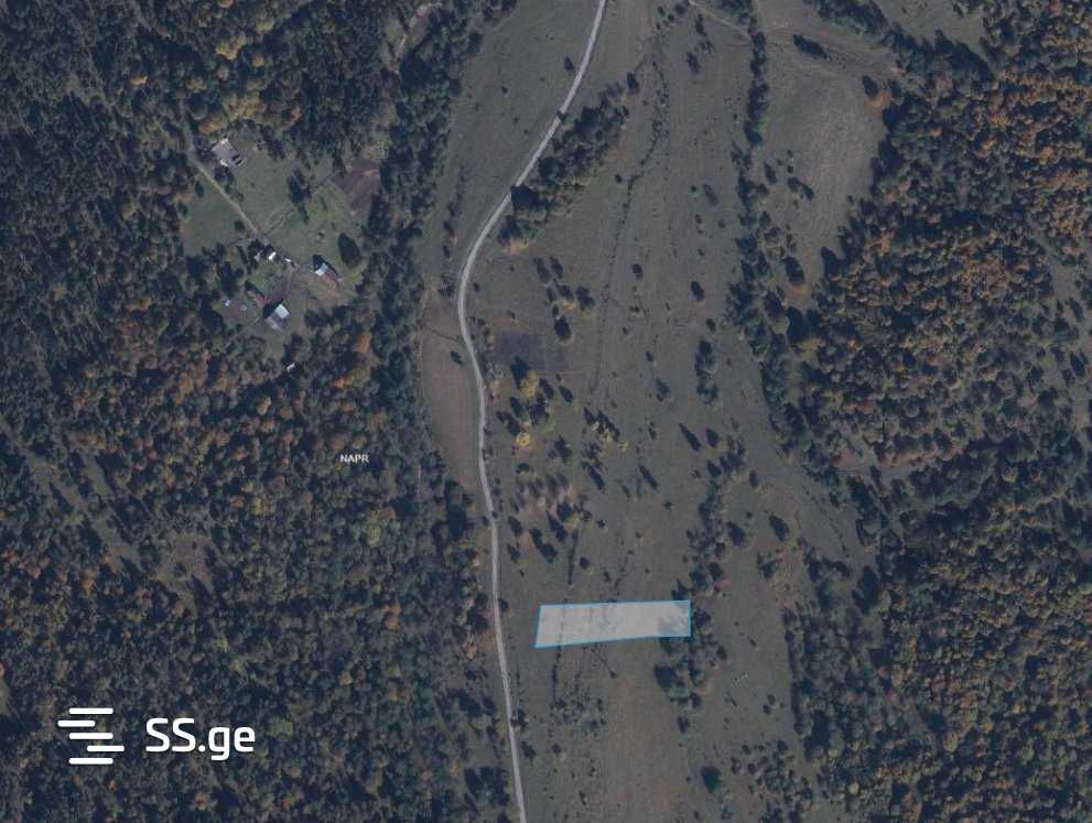 Land For Sale. Bakurianis Andeziti view 6