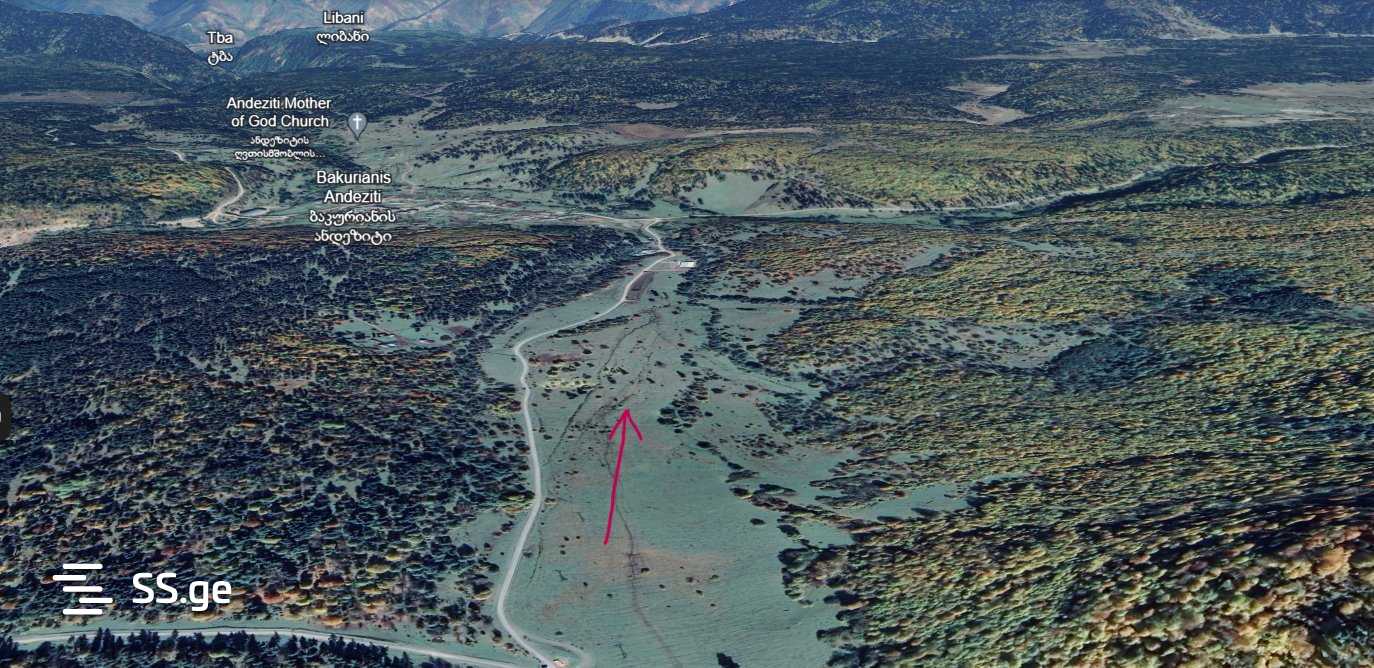 Land For Sale. Bakurianis Andeziti view 5